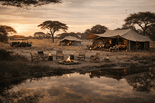 Golden hour at the safari camp